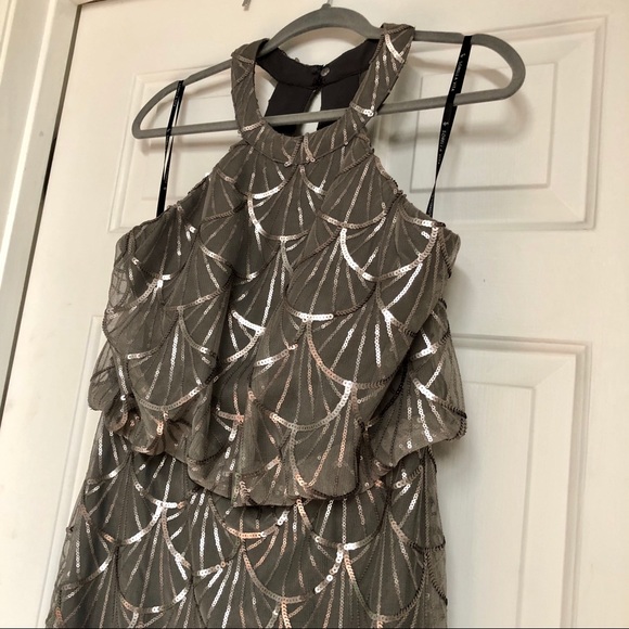 Sorella Vita Bridesmaid / formal / prom dress - Picture 4 of 9